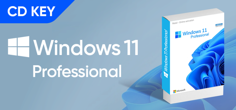 Windows 11 Professional CD Key-10256